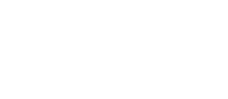 logotype_titan_white